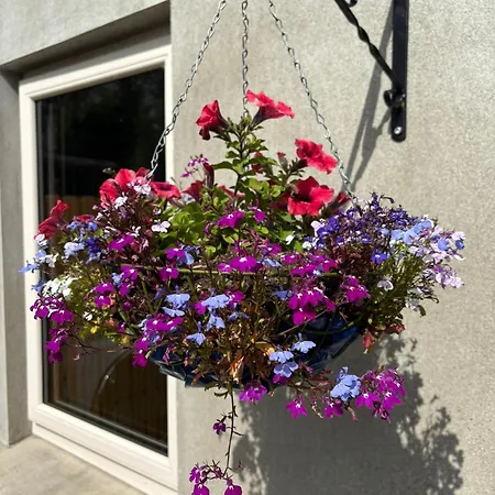 Old School Road Sleeps 6 Dom wakacyjny