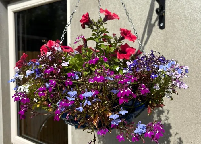 Old School Road Sleeps 6 Дом отдыха