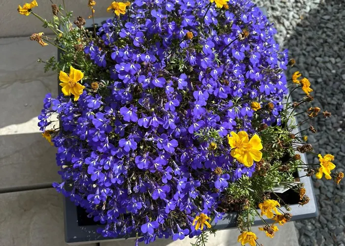 Old School Road Sleeps 6 *